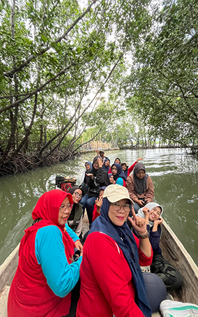 Bibit mangrove siap tanam